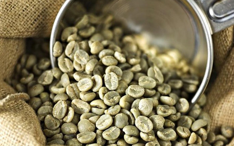 зеленые зерна кофе