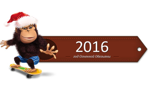 2016 год обезьяны